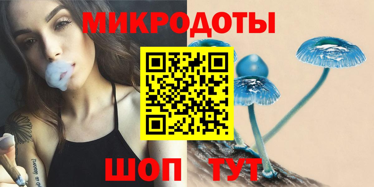 Псилоцибиновые грибы Psilocybe Грозный